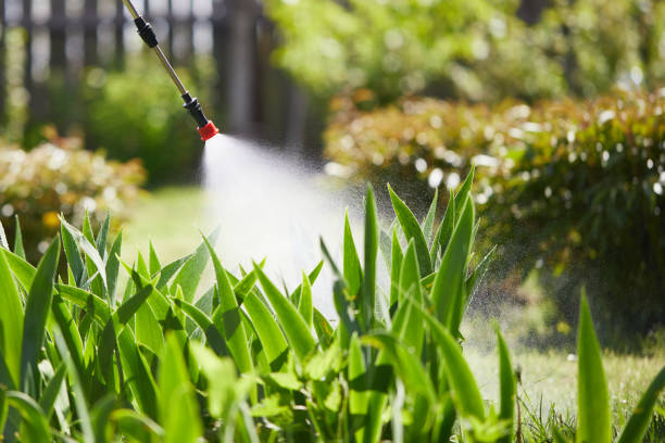 24/7 Emergency Wasp Removal experts in Emerald Lake Hills, CA